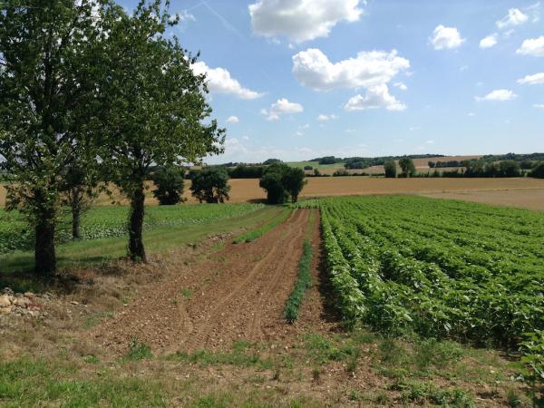 The quiet countryside around Villemorin -perfect for cycling